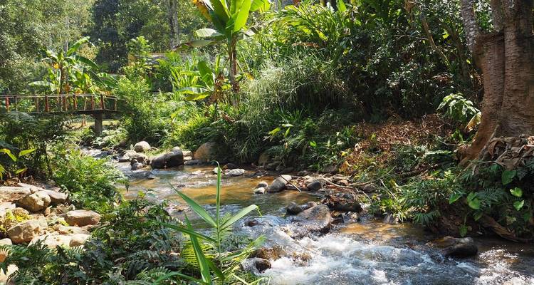 Tailandia icónica en 12 días - Circuito privado - Vietnam Tour Fun 8