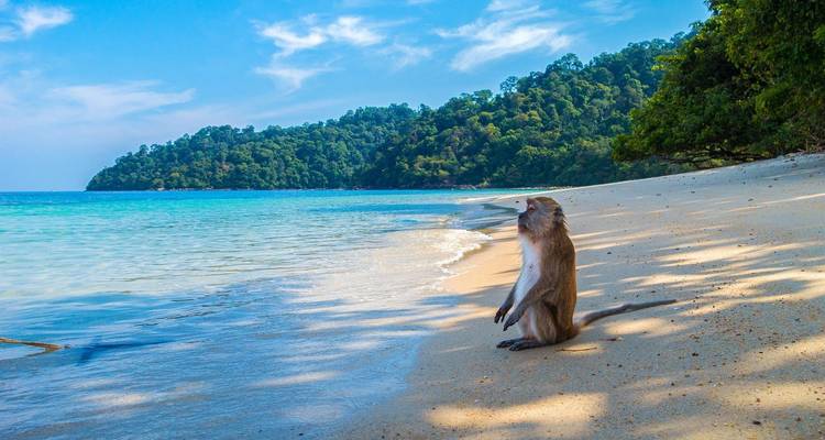 Thailand Treasures 11 Days - Private Tour - Vietnam Tour Fun 1