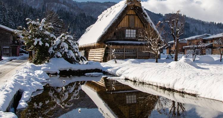 10 jours - Odyssée culturelle de lune de miel au Japon (guide et chauffeur privés) - UME Travel Co. Ltd 3