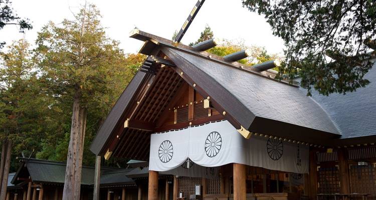 Excursión de 6 días a la sinfonía floral de Hokkaido (guía y conductor privados）La mejor época para visitarla es entre junio y agosto, en verano. - UME Travel Co. Ltd 2