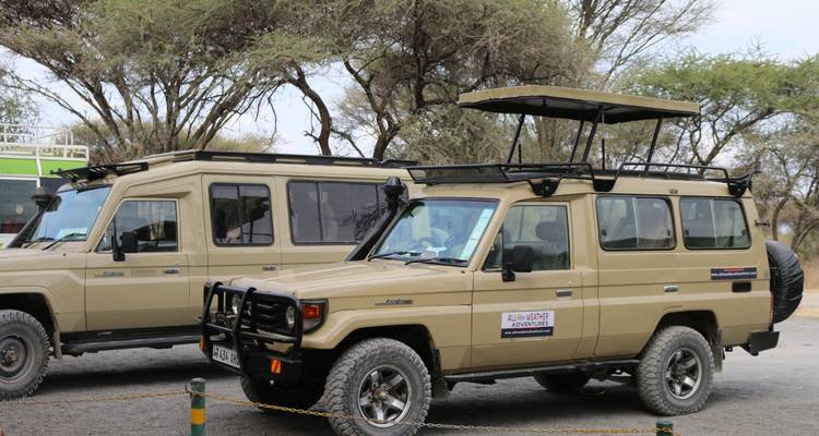 Zwei Safari-Fahrzeuge geparkt auf einem Kiesplatz, umgeben von Bäumen.