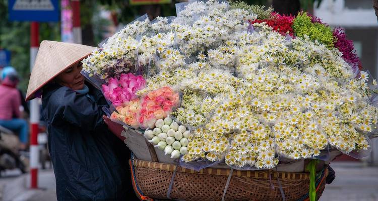 Vietnam Honeymoon Bliss in 14 days- Private Tour - Vietnam Tour Fun 7