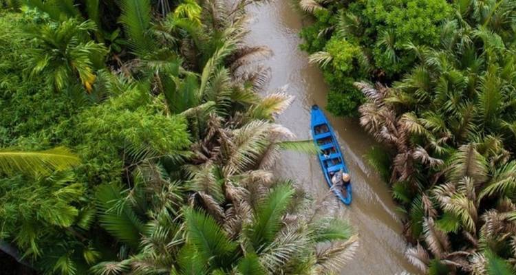 Un canoë bleu navigue le long d'un étroit canal boueux entouré de palmiers tropicaux denses, vu d'en haut.