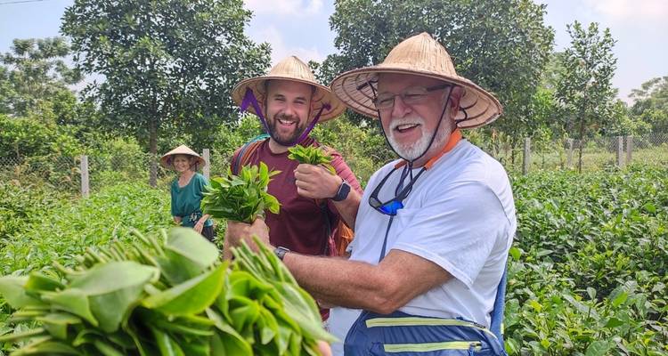 Gruppe von Menschen auf einem Feld, die eine Grünflächentour genießen.