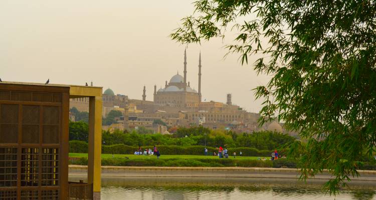 Verre zicht op een stadsskyline met een moskee.