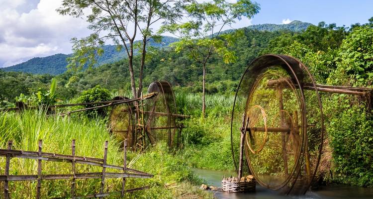 Traditionele waterraderen in een weelderige groene omgeving.
