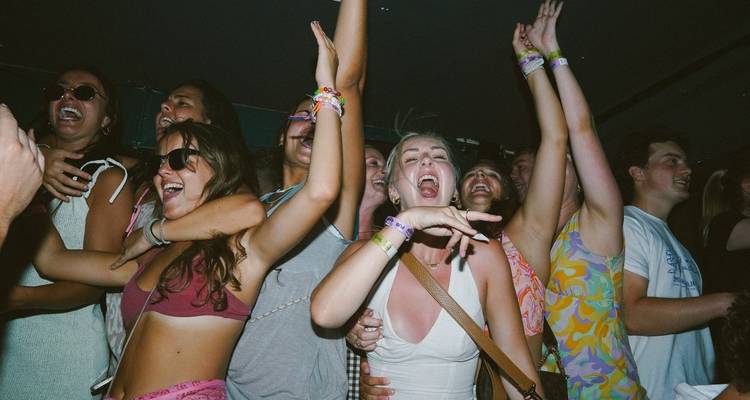 Group of people partying and dancing at a club.