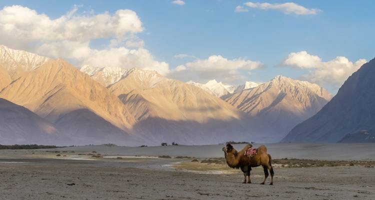 Cicuito guiado en profundidad a Ladakh desde Delhi - Alkof Holidays 8
