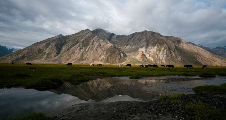 Cicuito guiado en profundidad a Ladakh desde Delhi - Alkof Holidays 1