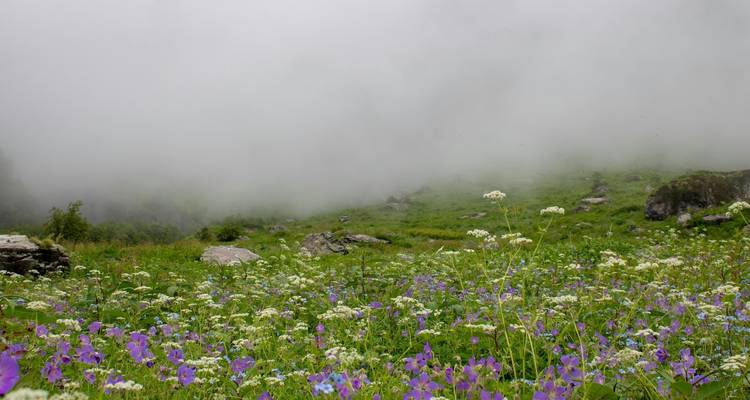 Excursión a Hemkund Sahib con el Valle de las Flores - Alkof Holidays 2