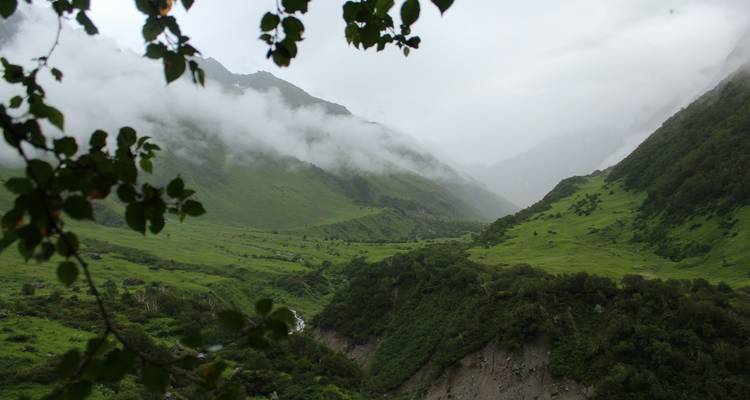 Excursión a Hemkund Sahib con el Valle de las Flores - Alkof Holidays 3