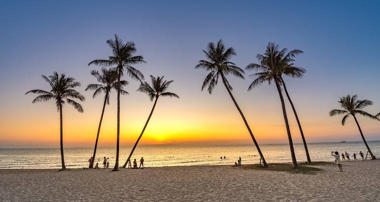 Scène de plage avec des palmiers en silhouette contre un coucher de soleil éclatant.