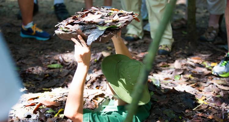 Persoon die uit een ondergrondse tunnel tevoorschijn komt met een deksel van bladeren.