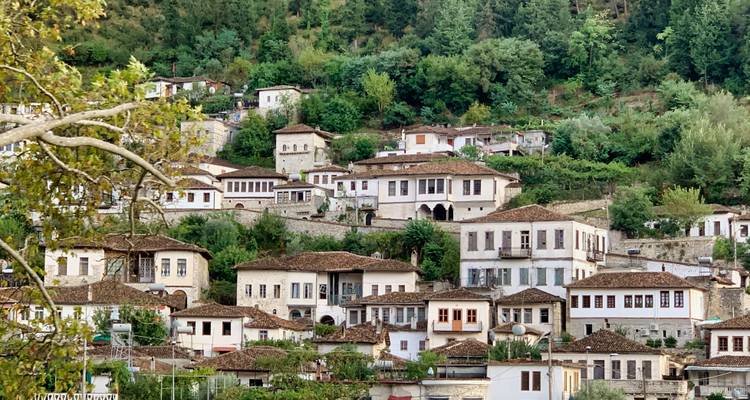 Uitzicht op traditionele huizen op een heuvel in een historische stad.