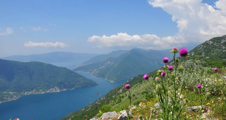 Aventure de randonnée autoguidée au Monténégro : La baie de Kotor et le lac Skadar hors des sentiers battus - 3e Travel Montenegro 2