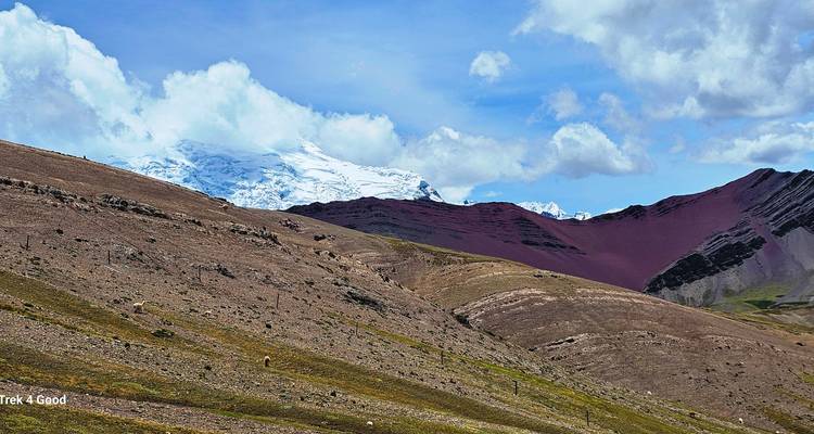 Montaña del Arcoíris (Vinicunca): circuito en grupo en cuatrimoto - Peru Trek 4 Good 2