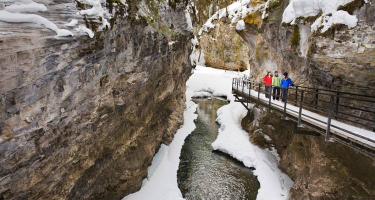 Paquete de vacaciones de 8 días experiencia vía invernal (De Jasper a Vancouver) (De Calgary a Vancouver) - Calgary Tours 6