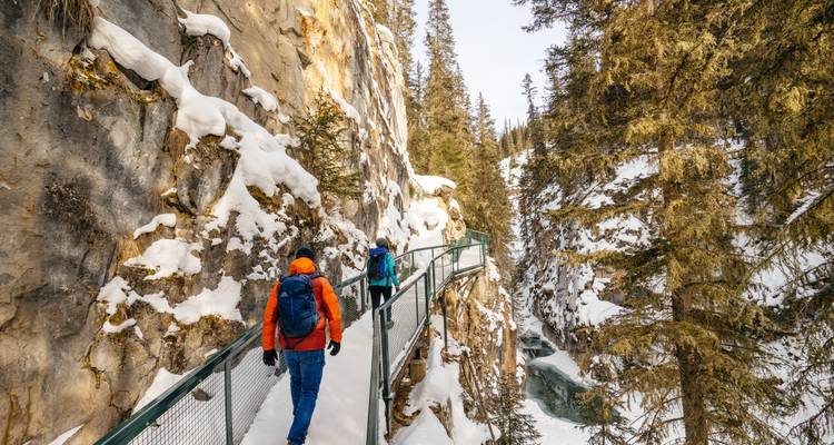 Paquete de vacaciones de 8 días experiencia vía invernal (De Jasper a Vancouver) (De Calgary a Vancouver) - Calgary Tours 7