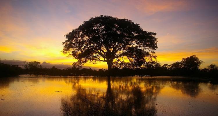 11 Day Hidden Bolivian Jungle Expeditions - Responsible Travel South America 1