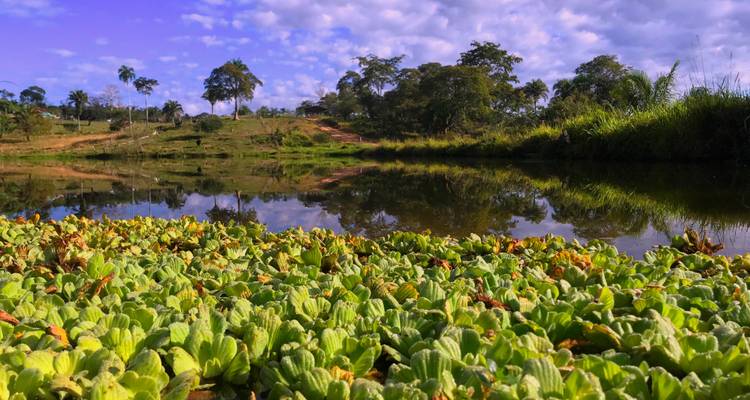 11 Day Hidden Bolivian Jungle Expeditions - Responsible Travel South America 8