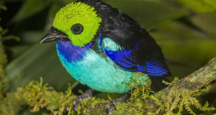 11 Day Hidden Bolivian Jungle Expeditions - Responsible Travel South America 9