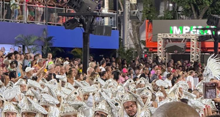 Groupe de personnes en costumes de carnaval dans une zone bondée.