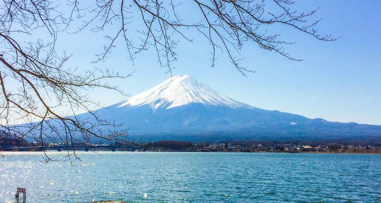 Circuit privé de 13 jours au Japon - Odynovo 4