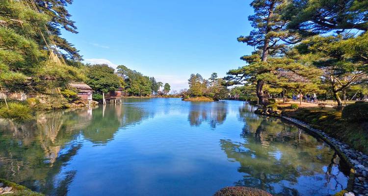 Jardín tranquilo con estanque reflectante y árboles alrededor.