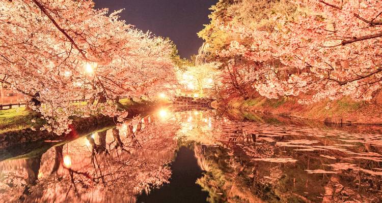Essentiel Japon : 13 jours Tokyo, Kyoto, Osaka, Kanazawa, Hiroshima (sur mesure) - Odynovo 4