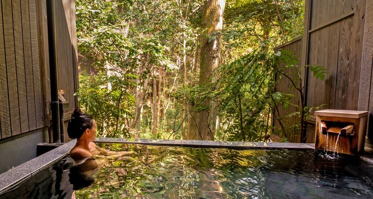 14 días una prueba de Japón (guía y conductor privados） - UME Travel Co. Ltd 10
