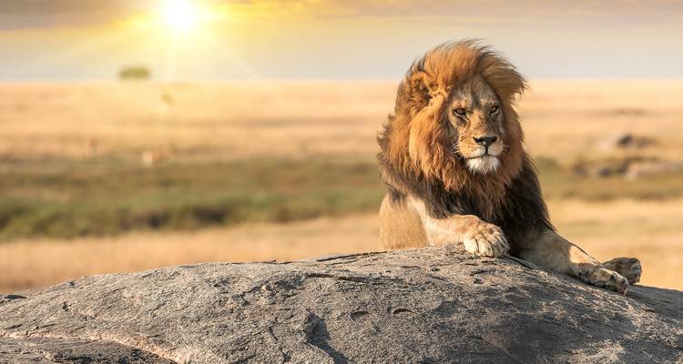 Desde Arusha Safari de Aventura de 2 Días en Tarangire y el Cráter del Ngorongoro - Beach and Safari Holidays 1