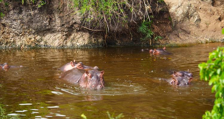 From Arusha 3 Days Tanzanian Flamingo Safari: Tarangire to Magical Lake Natron - Beach and Safari Holidays 4
