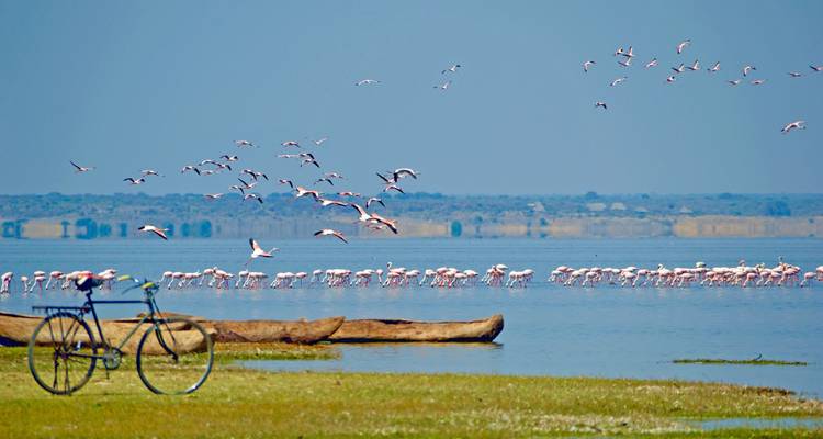 From Arusha 3 Days Tanzanian Flamingo Safari: Tarangire to Magical Lake Natron - Beach and Safari Holidays 10