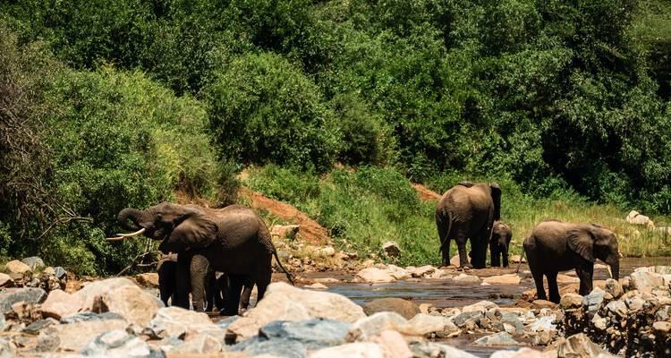 From Arusha: 3-Day Tarangire, Ngorongoro and Lake Manyara Safari - Beach and Safari Holidays 9