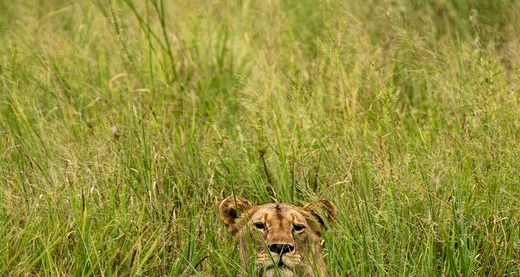 From Arusha: 3-Day Tarangire, Ngorongoro and Lake Manyara Safari - Beach and Safari Holidays 1