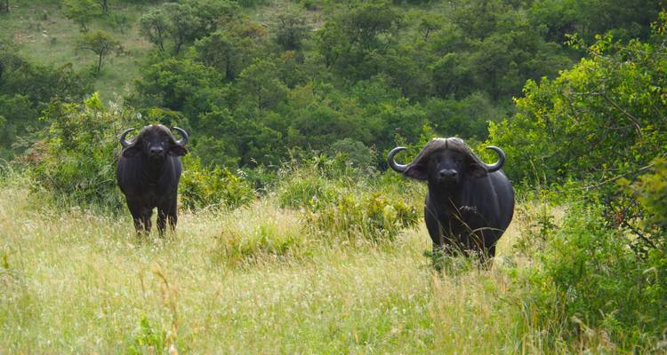 Desde Arusha, 3 días de Safari en avión y en coche, Serengeti y Ngorongoro - Beach and Safari Holidays 10
