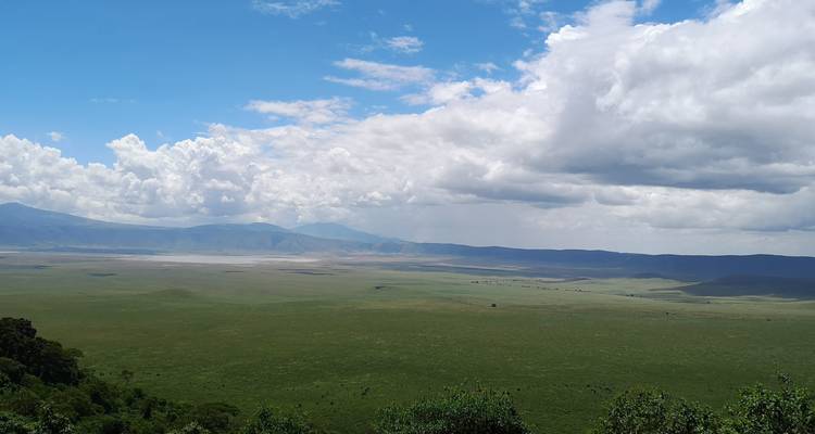 From Arusha Ultimate 3 Day Safari in Tanzania, Tarangire, Lake Manyara, 8th World Wonder - Beach and Safari Holidays 7