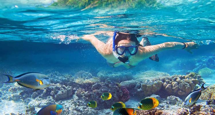 Excursión marítima de un día y submarinismo en Hurghada - Experience Egypt Tours 1