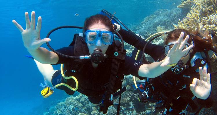 Excursión marítima de un día y submarinismo en Hurghada - Experience Egypt Tours 4
