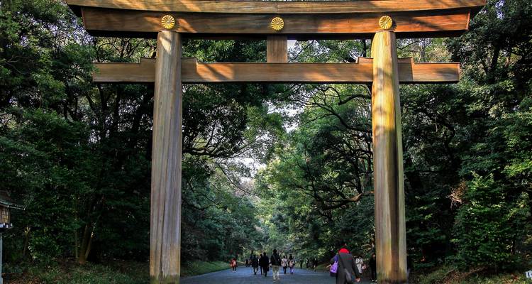 Japón encantador: del bullicio de Tokio a la serenidad de Kioto (privado a medida) - Odynovo 3