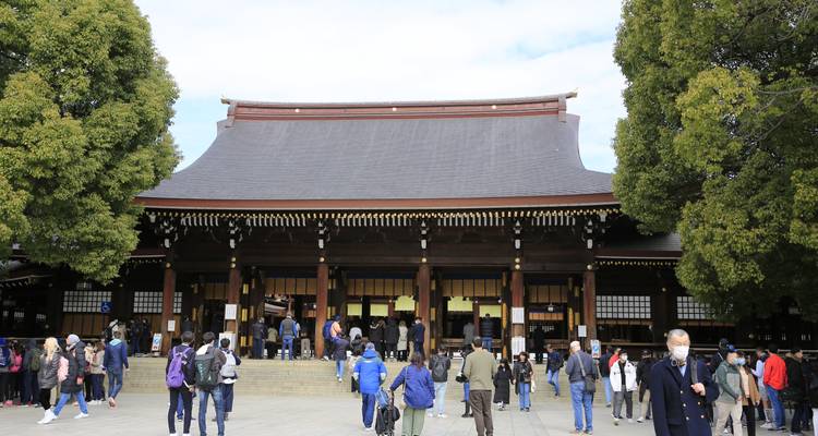 Japón encantador: del bullicio de Tokio a la serenidad de Kioto (privado a medida) - Odynovo 4