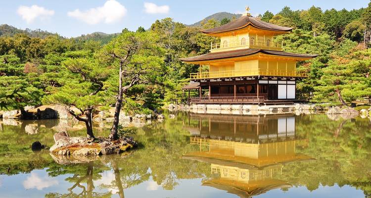 Japón encantador: del bullicio de Tokio a la serenidad de Kioto (privado a medida) - Odynovo 6