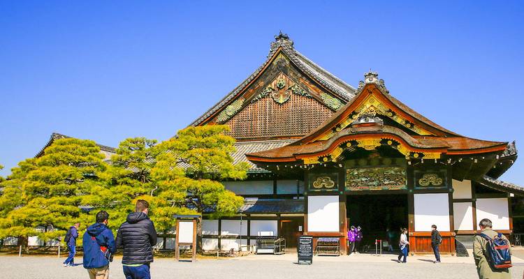 Japón encantador: del bullicio de Tokio a la serenidad de Kioto (privado a medida) - Odynovo 7