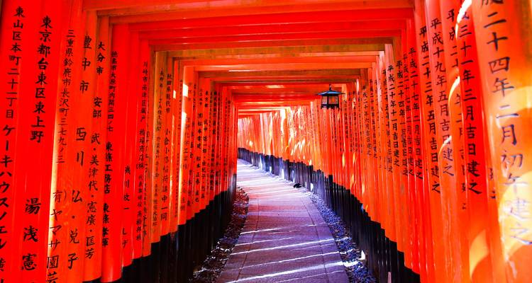 Japón encantador: del bullicio de Tokio a la serenidad de Kioto (privado a medida) - Odynovo 8