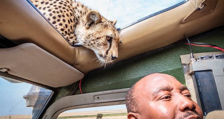 Paquete volador de 4 días en Masai Mara - Gracepatt Ecotours Kenya 2