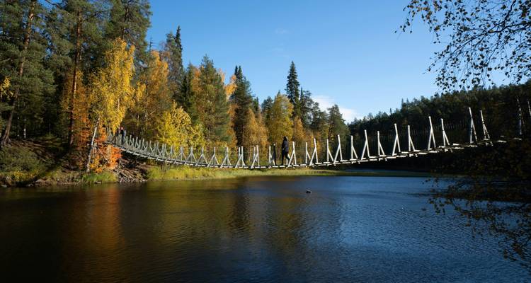 Hängebrücke über einen bewaldeten Fluss an einem sonnigen Tag in Finnland.