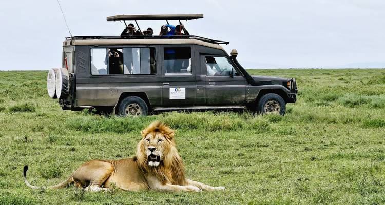Desde Arusha Safari de 4 días por los Parques del Norte Tarangire, Serengeti, Cráter del Ngorongoro - Beach and Safari Holidays 2