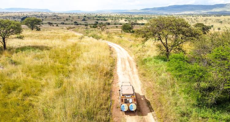 Desde Arusha 5 días Explora el Serengeti y más,Tarangire,Cráter del Ngorongoro,safari por el Serengeti - Beach and Safari Holidays 6