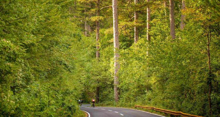 Les incontournables du Monténégro à vélo - auto-guidé- De la montagne à la mer - 3e Travel Montenegro 8