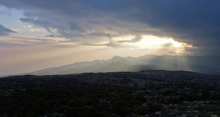9 días de Escalada al KiLimanjaro - ruta Machame - Jill Travel 6